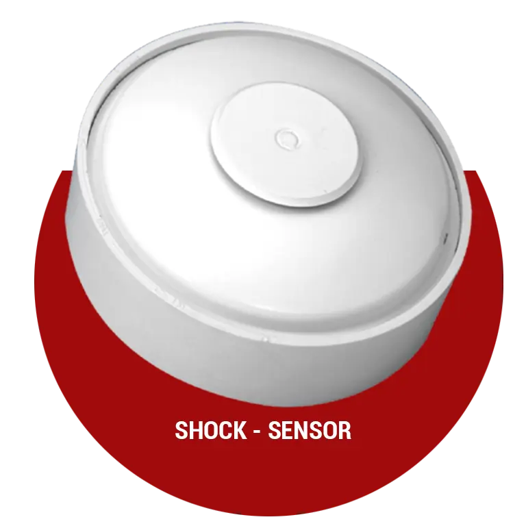 Shock sensor