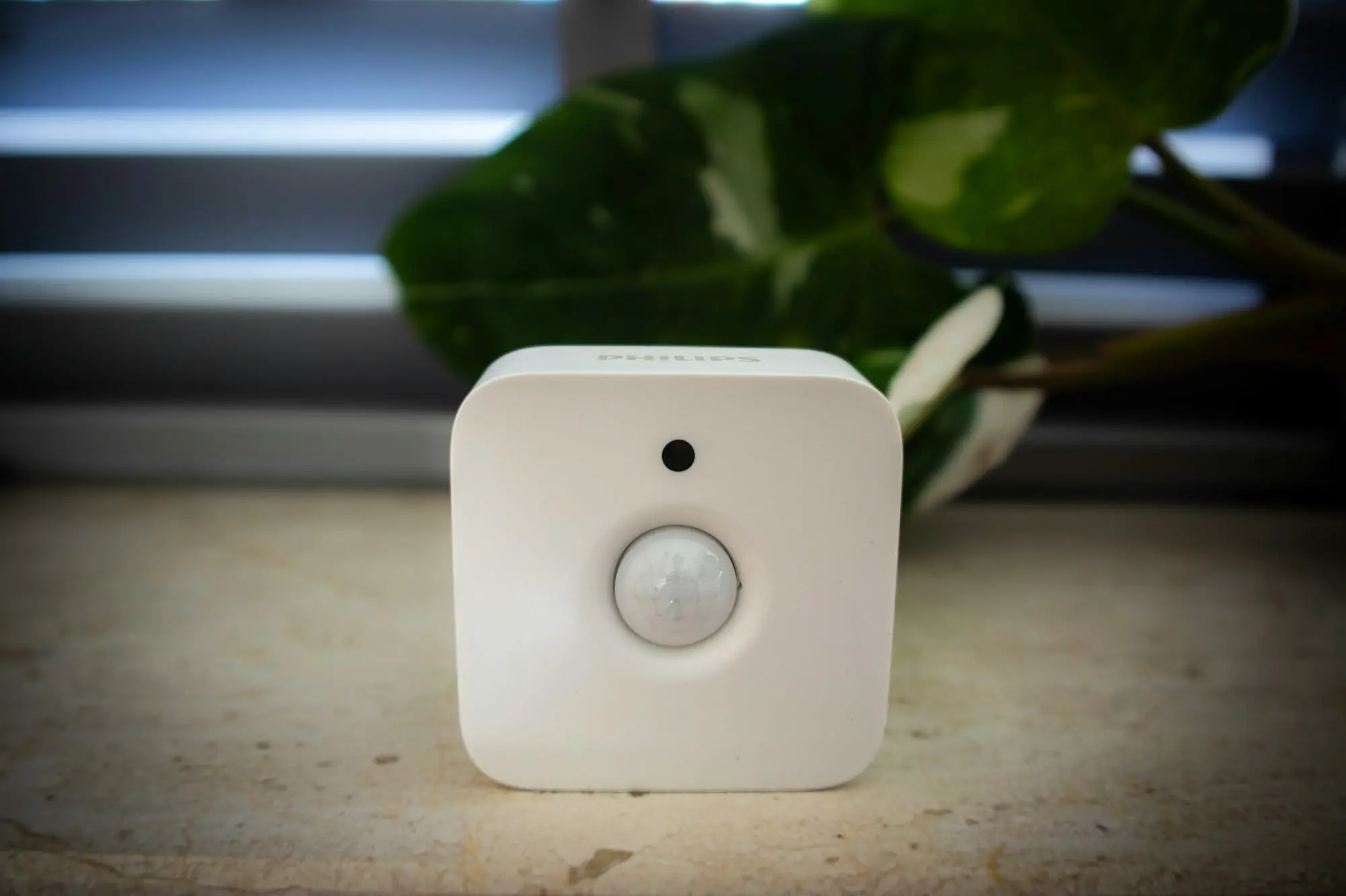 White motion sensor